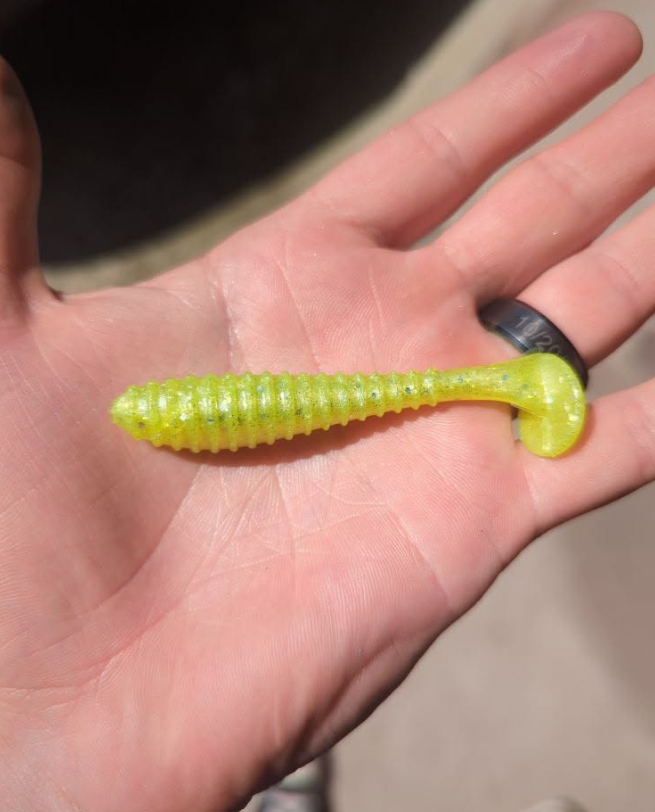 Yellow Swimbait